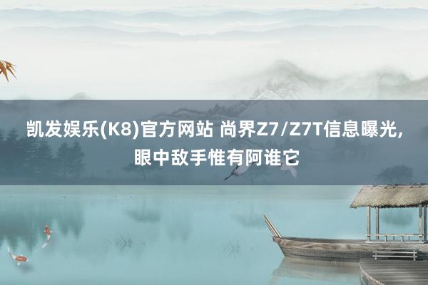 凯发娱乐(K8)官方网站 尚界Z7/Z7T信息曝光， 眼中敌手惟有阿谁它
