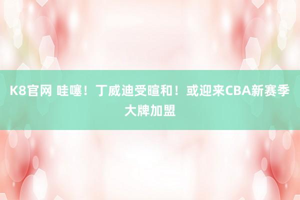 K8官网 哇噻！丁威迪受暄和！或迎来CBA新赛季大牌加盟