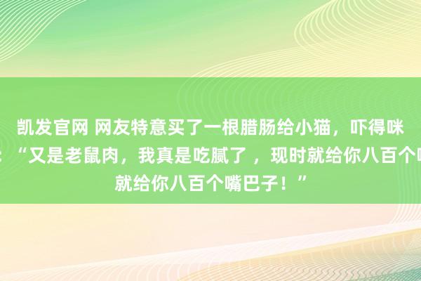 凯发官网 网友特意买了一根腊肠给小猫，吓得咪速即隔断：“又是老鼠肉，我真是吃腻了 ，现时就给你八百个嘴巴子！”