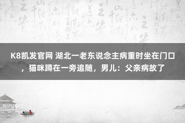 K8凯发官网 湖北一老东说念主病重时坐在门口，猫咪蹲在一旁追随，男儿：父亲病故了