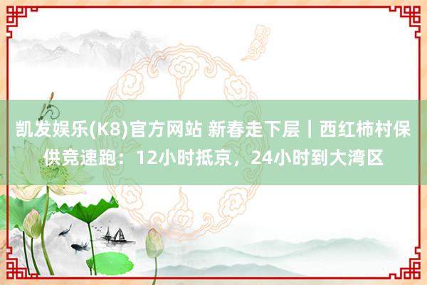 凯发娱乐(K8)官方网站 新春走下层｜西红柿村保供竞速跑：12小时抵京，24小时到大湾区