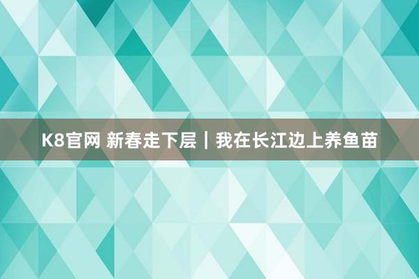 K8官网 新春走下层｜我在长江边上养鱼苗
