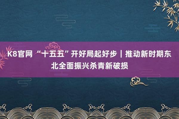 K8官网 “十五五”开好局起好步｜推动新时期东北全面振兴杀青新破损