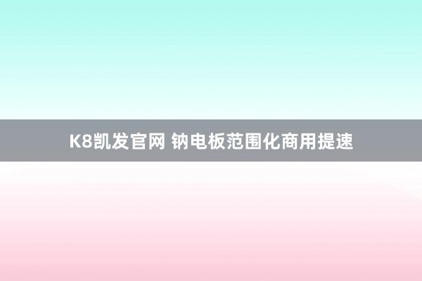 K8凯发官网 钠电板范围化商用提速