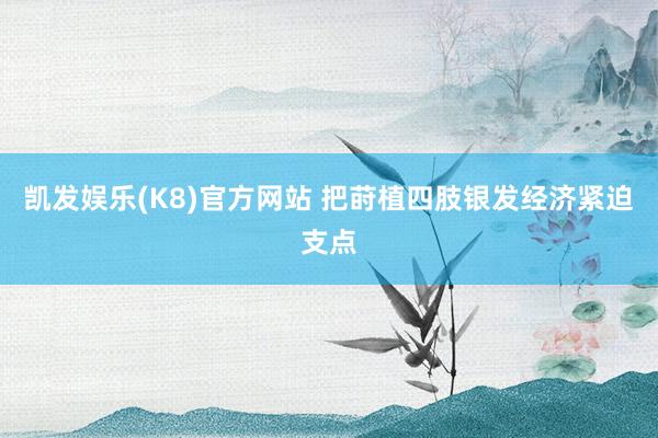 凯发娱乐(K8)官方网站 把莳植四肢银发经济紧迫支点