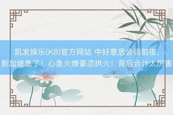 凯发娱乐(K8)官方网站 中好意思会谈前夜，新加坡急了！心急火燎豪恣拱火！背后合计太厉害