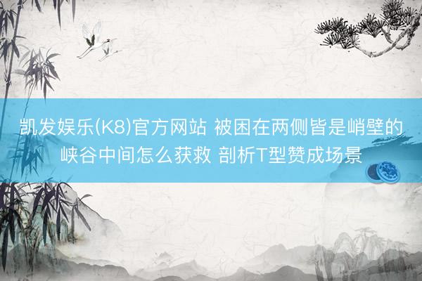 凯发娱乐(K8)官方网站 被困在两侧皆是峭壁的峡谷中间怎么获救 剖析T型赞成场景
