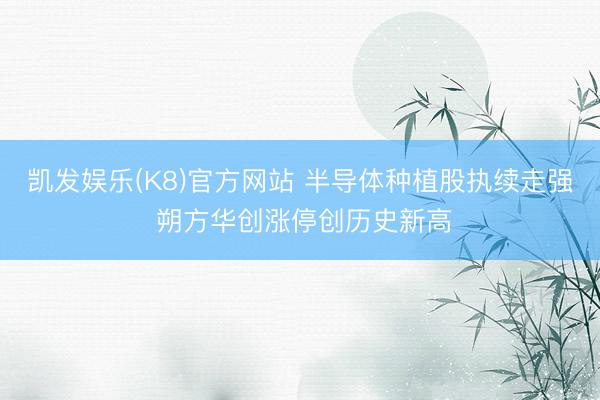 凯发娱乐(K8)官方网站 半导体种植股执续走强 朔方华创涨停创历史新高