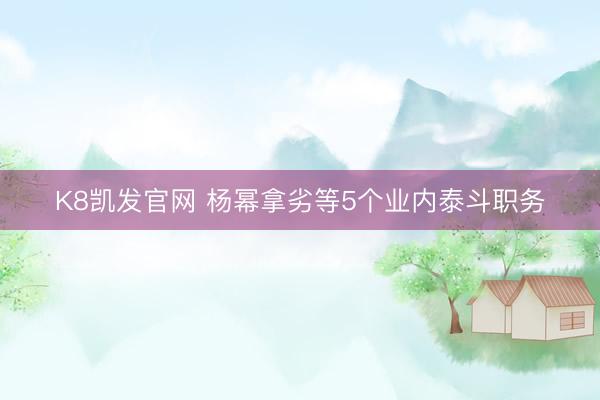K8凯发官网 杨幂拿劣等5个业内泰斗职务