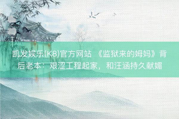 凯发娱乐(K8)官方网站 《监狱来的姆妈》背后老本：艰涩工程起家，和汪涵持久献媚