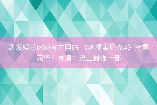 凯发娱乐(K8)官方网站 《刺猬索尼克4》持重完毕！导演：史上最强一部