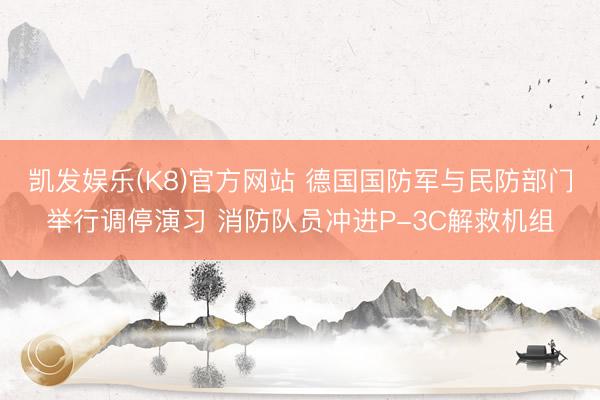 凯发娱乐(K8)官方网站 德国国防军与民防部门举行调停演习 消防队员冲进P-3C解救机组