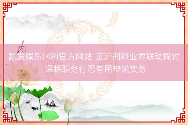 凯发娱乐(K8)官方网站 京沪刑辩业界联动探讨 深耕职务行恶有用辩说实务